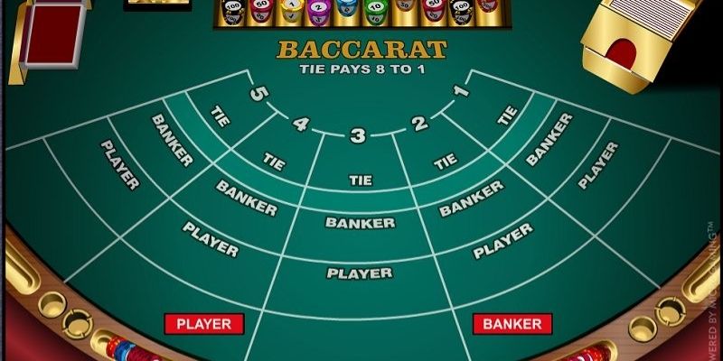 Cách chơi baccarat 8Day là hãy cược theo chiến thuật cố định