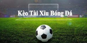 Kèo Tài Xỉu 8Day - Cách Soi Kèo & Đặt Cược Hiệu Quả