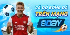 Cá độ bóng đá trên mạng 8day: Tìm hiểu và tham gia an toàn